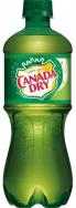 Canada Dry - Ginger Ale - 2L